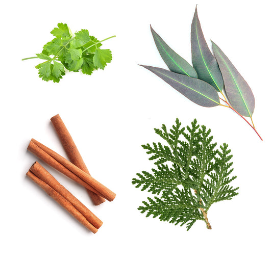 abode illóolaj tartalma