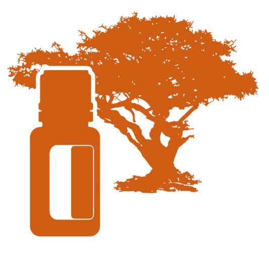 Doterra Frankincense - how it is made