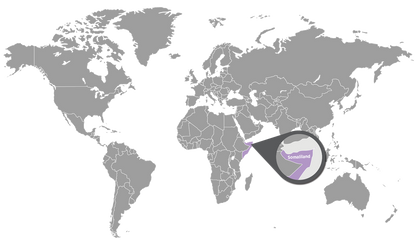 myrrh map 1350x780 eu